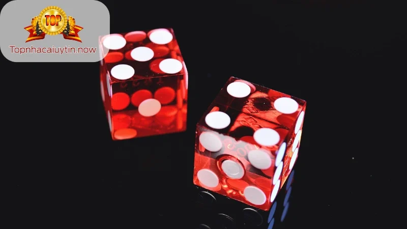 chẵn lẻ tài xỉu